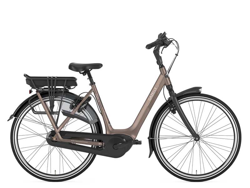 Foto Gazelle Preiswerte Vorjahres-Modelle